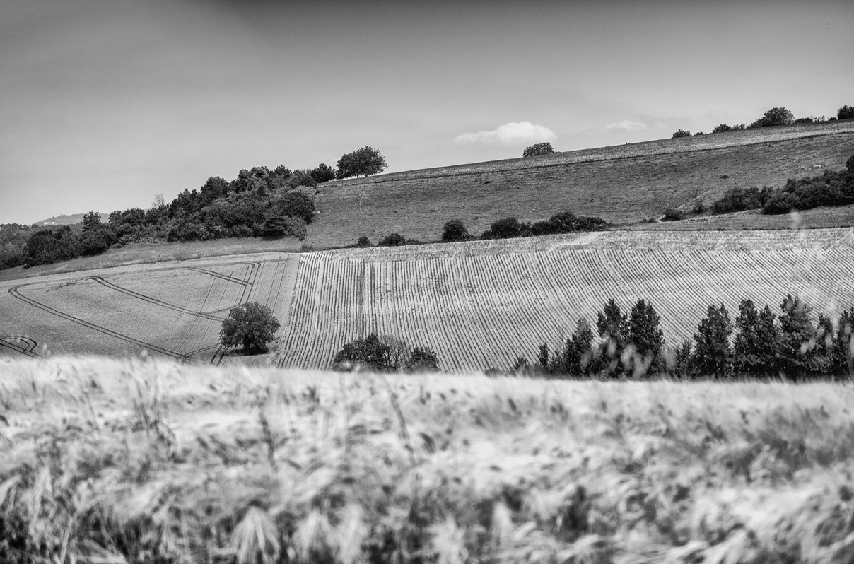 Gently Rolling French Hills -  MONO