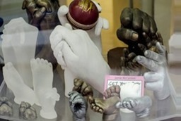 Hands & Feet in a Shop Window