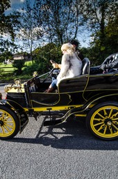 Yellow & Black Horseless Carriage